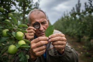 Obavijest voćarima!