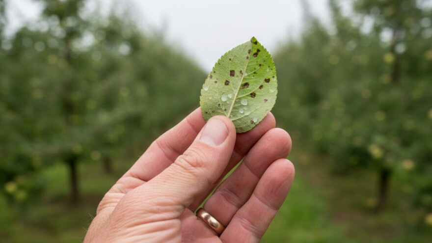 Obavijest voćarima!