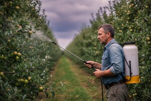 Obavijest voćarima o zaštiti kruške i jabuke!