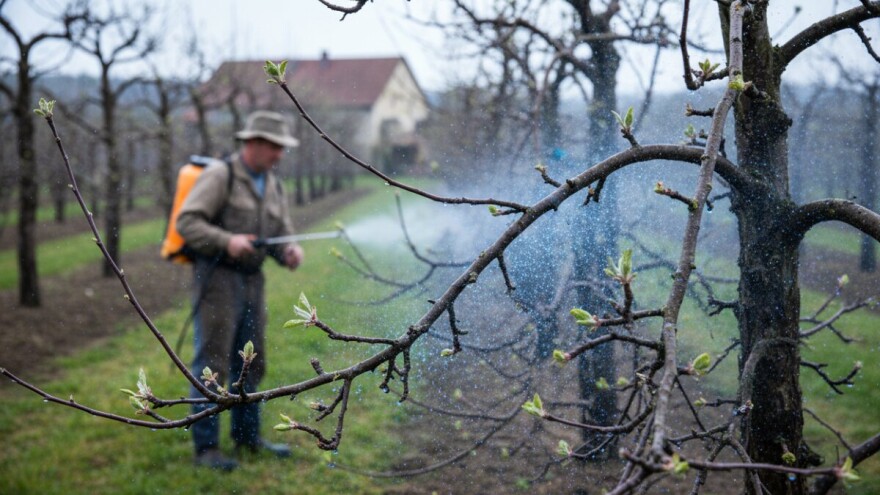 Obavite zaštitu krušaka i jabuka od nametnika