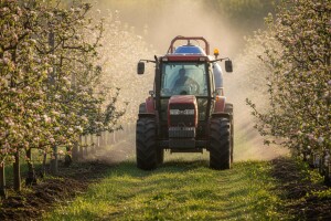 Obavite zaštitu nasada jabuka i krušaka