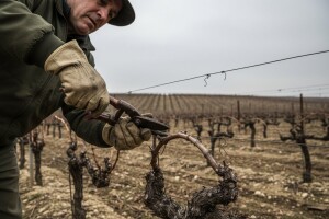 Obećane plaće, radnici prekinuli štrajk