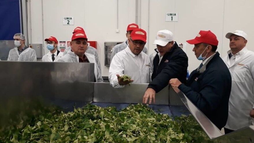 "Juventus" među povrtarima u Dobrincima