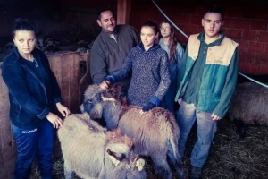 Vatra im uzela gotovo sve, ali ne odustaju - uz ovce na farmi živjet će magarci i konji