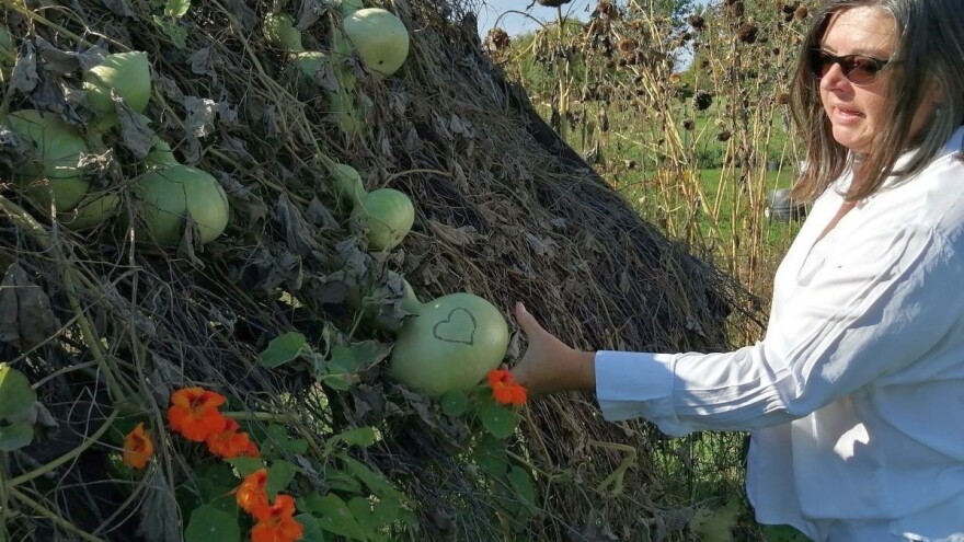 Regenerativna poljoprivreda obitelji Hren: Ono što drugi čupaju, mi uzgajamo