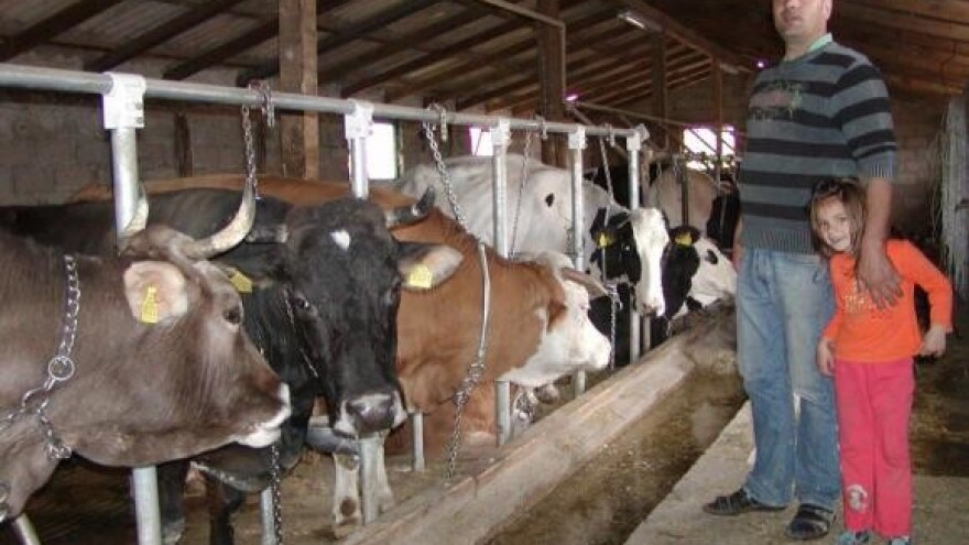 Proizvođači mlijeka i sufinanciranja