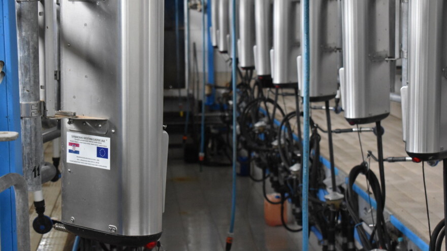 I drugi veliki hrvatski otkupljivač mlijeka povećava otkupnu cijenu