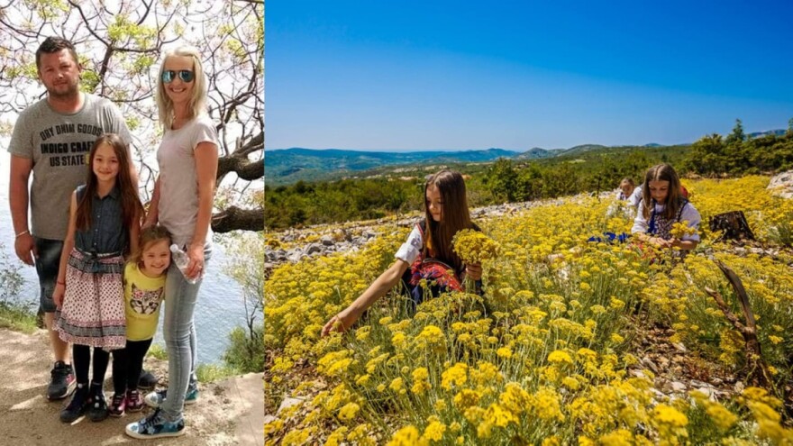 Na škrtoj zemlji zasadila smilje, kozmetikom osvojila turiste i norveško tržište