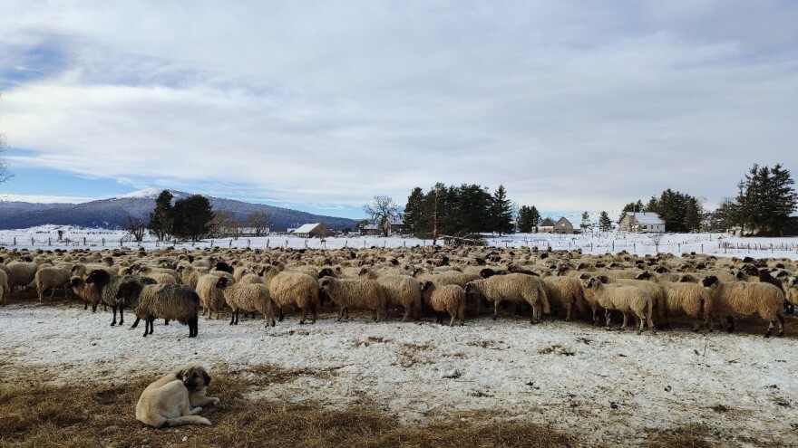 Magla i mraz mogući ove sedmice, hoće li biti snijega?