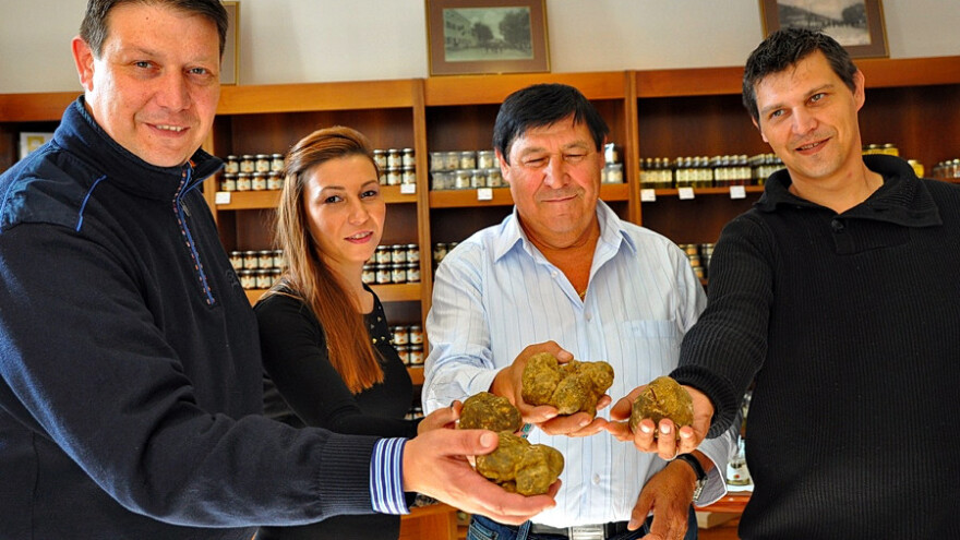 Giancarlo Zigante - od magneta za tartufe do rekorda upisanog u Guinessovu knjigu i uspješnog posla!