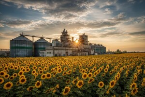 Objavljen natječaj za čepinsku uljaru