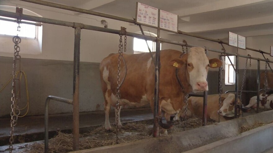 Okončan projekt osposobljavanja veterinarskog instituta
