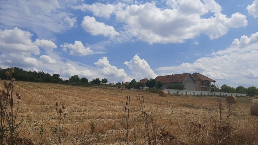 Pljuskovi u petak, useve ugrožavaju štetočine
