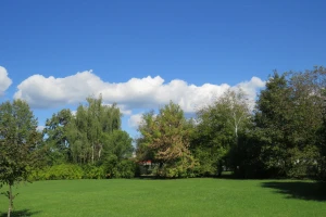 Do sredine nedelje - kiša, kukuruz oštećen od plamenca i sovice