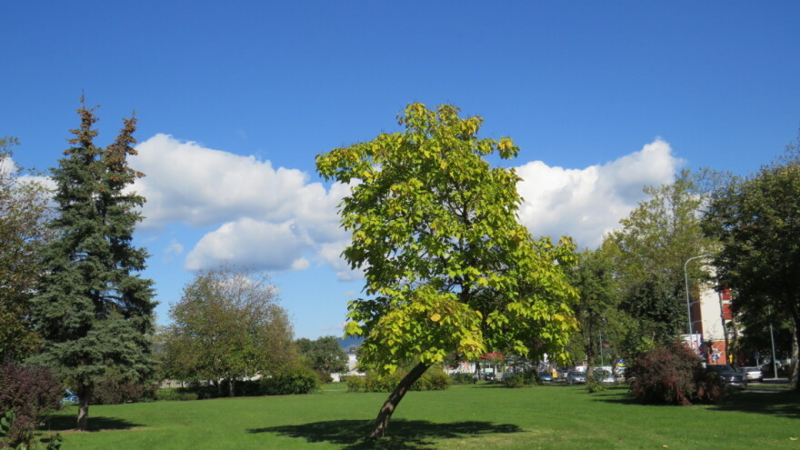 Vrijeme pogodovalo aktivnostima štetočina - slijedi promjena