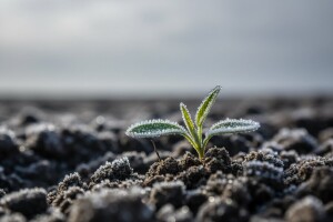 Oblačno i svježije!