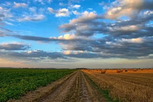 Uglavnom sunčano, rast temperatura do 37°C