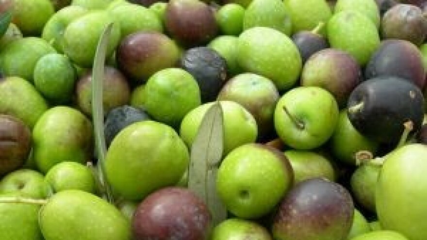 Dojmovi sa ovogodišnjeg Oblica festa