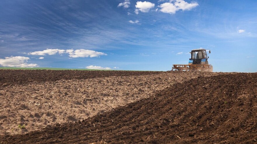 I poljoprivrednicima u BiH dostupne savremene sorte i hibirdi?