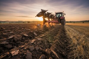 Obrada hidromorfnih tala za sjetvu uljane repice