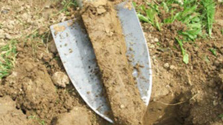 Centralni dan polja kalcizacije i postrne obrade tla