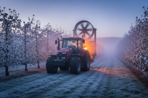 Obranite voćnjak od mraza