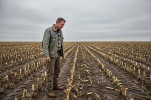 Obrao kukuruz - ali ne svoj!