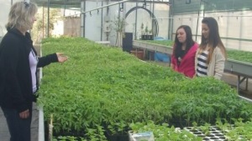 Postani stručnjak za poljoprivredu i šumarstvo!