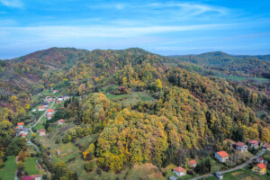 Med s ove planinske regije prvi će dobiti zaštitu geografskog porijekla u BiH