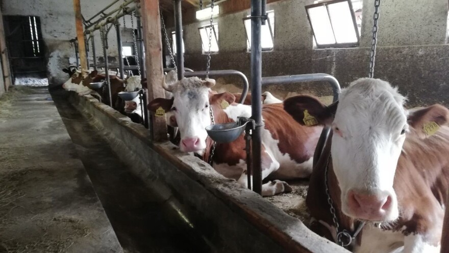 Bojan Francišković: Pitam se hoće li nove mjere biti dovoljne za sanaciju šteta