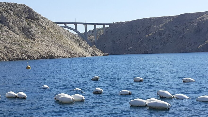 Javno savjetovanje: Prikupljanje statističkih podataka o akvakulturi