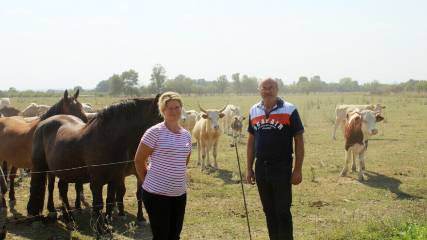 Miroslav Purić: U poljoprivredi opstaju uporni, mora se povezati ratarstvo i stočarstvo