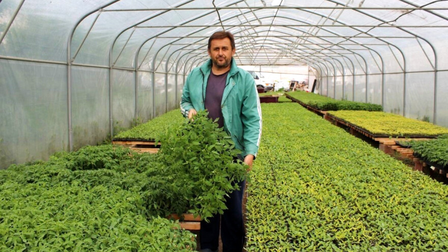 Predrag Tomašević: Inspekcije obilaze proizvođače, a zaobilaze preprodavače