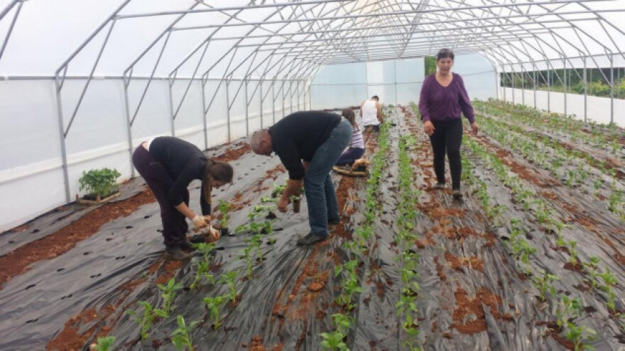 Poljoprivrednici obrtnici - sigurnija budućnost