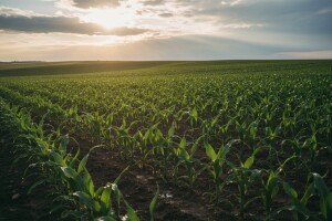 Očekuje nas sunčano i toplo vreme!