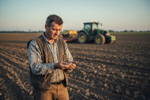 Očekuje se nikad skuplja sjetva