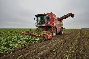 Očekuje se veća cena šećera u EU