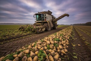 Očekuje se veća cijena šećera u EU