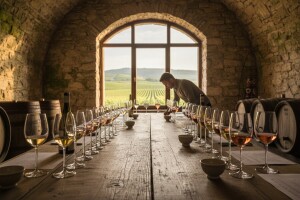 Ocjenjivanje i izložba vina Slavonije i Baranje u Iloku