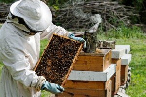 13. Ocjenjivanje i izložba meda KZ županije