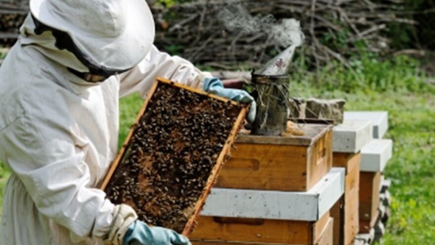 13. Ocjenjivanje i izložba meda KZ županije