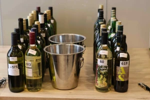 Rekordan broj uzoraka bilježi 33. Izložba mladih vina u Ludbregu