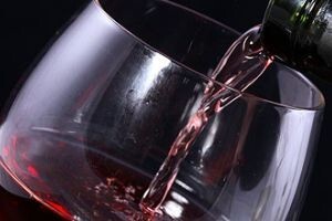 19. Ocjenjivanje vina i jakih alkoholnih pića