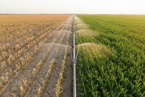 Od 115.000 hektara zemljišta, navodnjava se samo 2.000