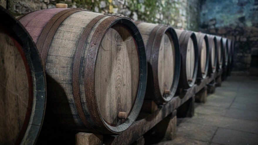 Od berbe do mladog vina