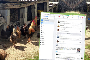 Gdje je nestala popularna FB grupa 'Od grunta do stola'?