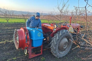 Od kojih štetočina i patogena štitimo voćke plavim kupanjem?
