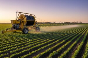 Od Talijana valja učiti o navodnjavanju