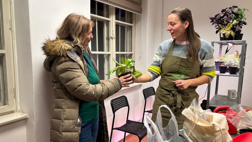 Andreja Čoh: Uzgoj rajčica na balkonu nema smisla, predlažem nešto bolje