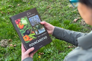 Od vrtne gredice do profesionalnog uzgoja: Sveobuhvatni vodič kroz savremeno povrtlarstvo